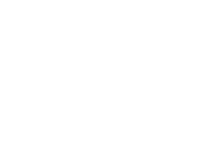 ccss-logo
